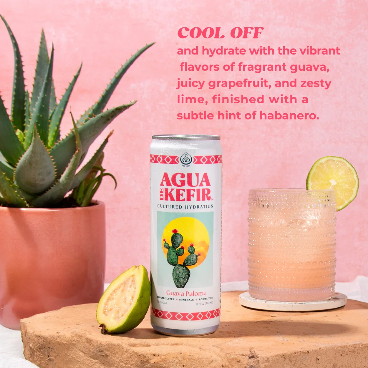 Guava Paloma - Image 3