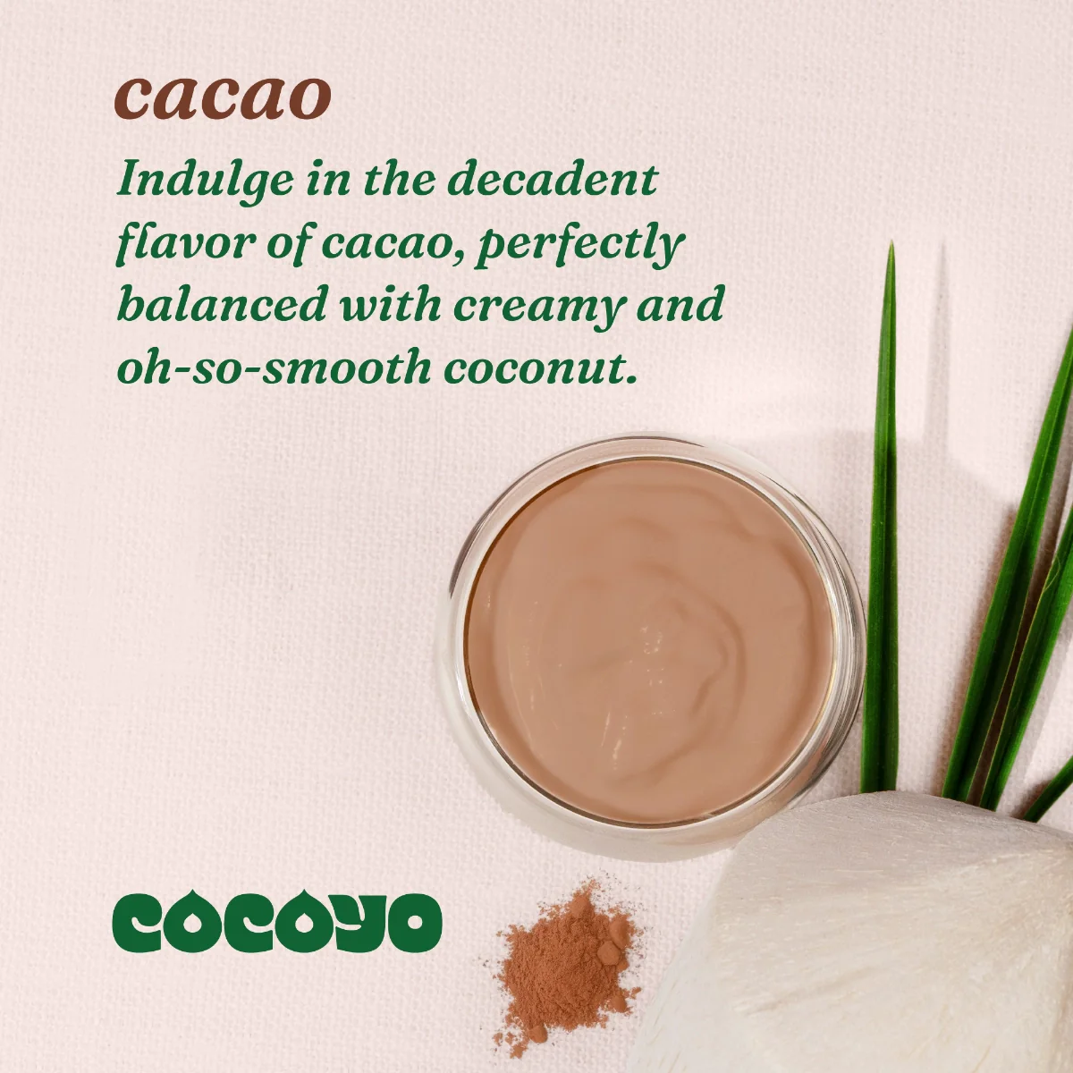 Cacao - Image 6