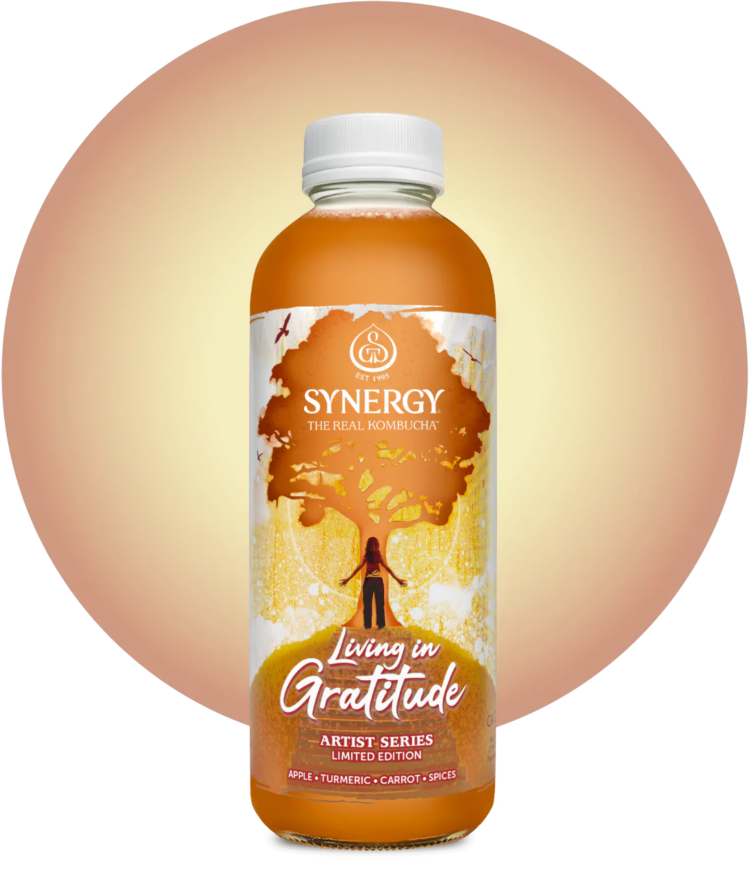 SYNERGY Raw Kombucha